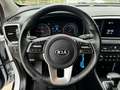 Kia Sportage Sportage 1.6 crdi mhev Business C 2wd 136cv dct7 - thumbnail 12