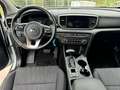 Kia Sportage Sportage 1.6 crdi mhev Business C 2wd 136cv dct7 - thumbnail 11