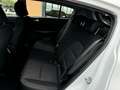 Kia Sportage Sportage 1.6 crdi mhev Business C 2wd 136cv dct7 - thumbnail 9