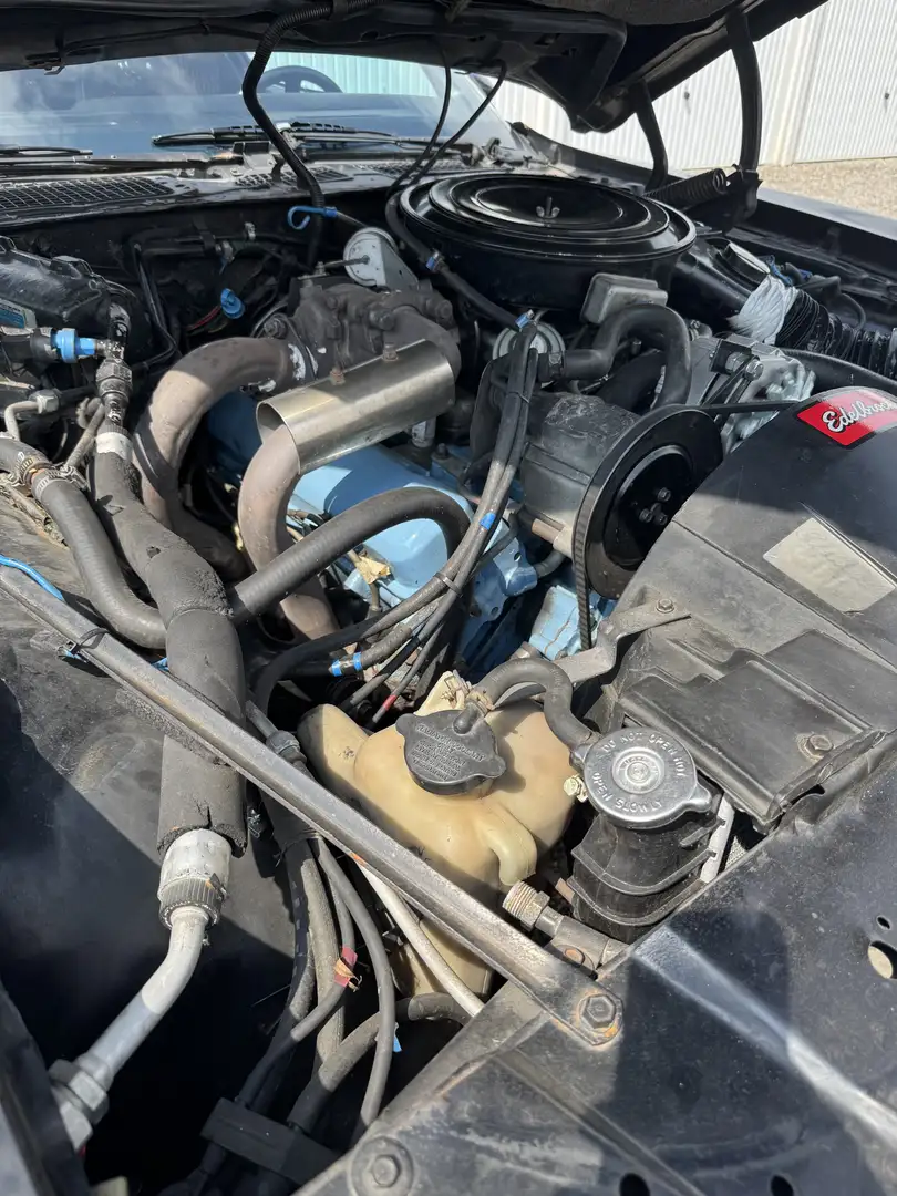 Pontiac Trans Am Pontiac Firebird Trans Am Turbo Y84 (Bandit II) Černá - 2