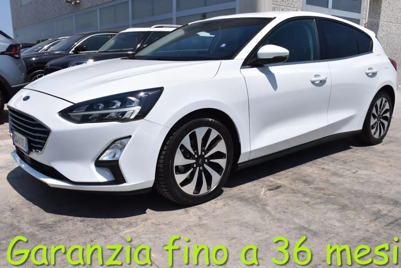 Ford Focus 1.5 EcoBlue 120 CV 5p. Business Bianco - 1
