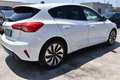 Ford Focus 1.5 EcoBlue 120 CV 5p. Business Bianco - thumbnail 4