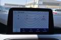 Ford Focus 1.5 EcoBlue 120 CV 5p. Business Bianco - thumbnail 12
