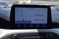 Ford Focus 1.5 EcoBlue 120 CV 5p. Business Bianco - thumbnail 10