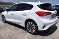 Ford Focus 1.5 EcoBlue 120 CV 5p. Business Bianco - thumbnail 6