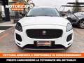 Jaguar E-Pace 2.0d i4 S 150cv AWD 4x4 Automatica Led-Navi-PDC Weiß - thumbnail 4