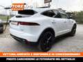 Jaguar E-Pace 2.0d i4 S 150cv AWD 4x4 Automatica Led-Navi-PDC Weiß - thumbnail 8