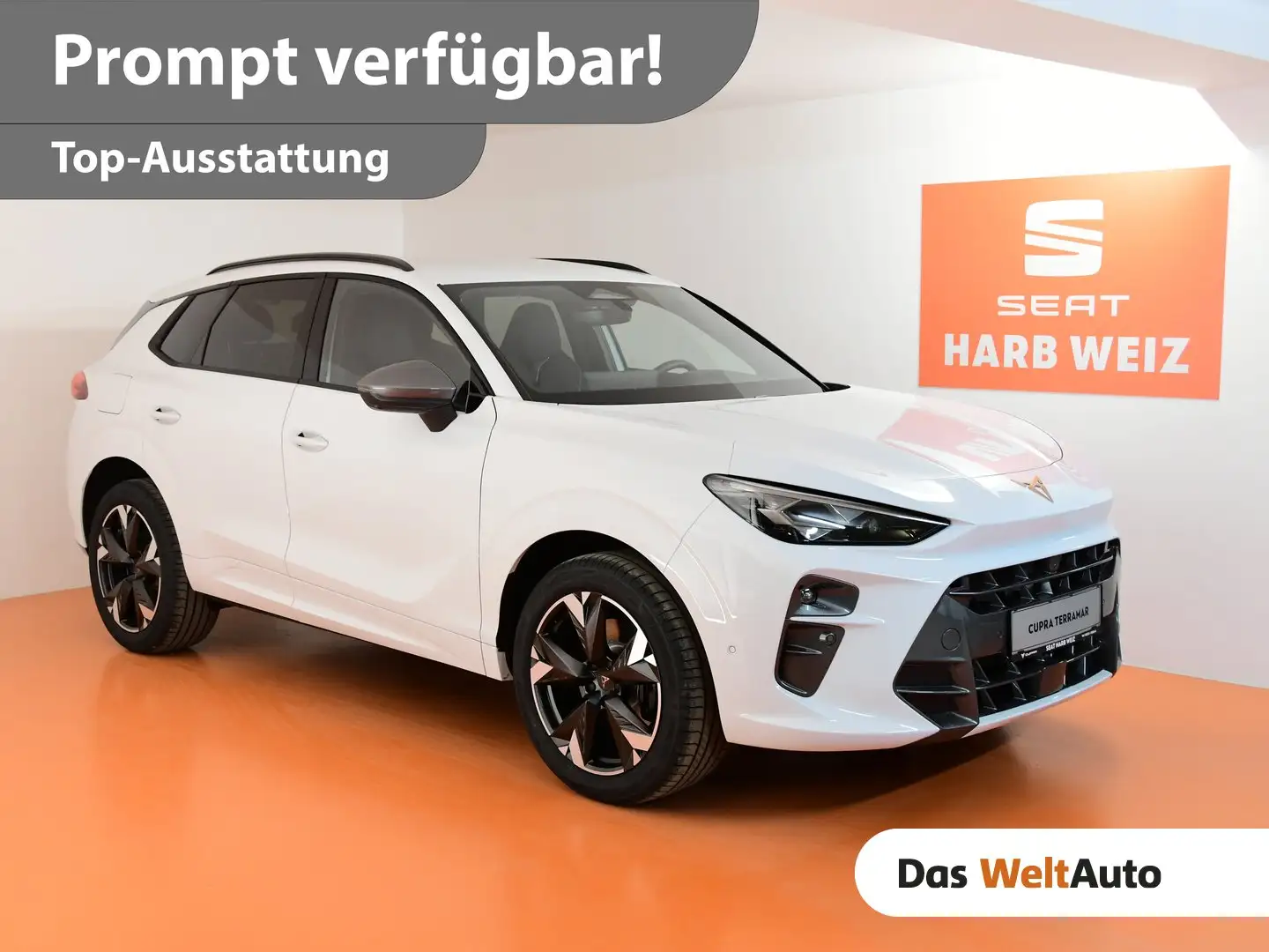 CUPRA Terramar VZ e-HYBRID 272 PS DSG Weiß - 1