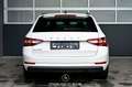Skoda Superb 2.0 TDI Ambition Pickerl NEU Weiß - thumbnail 4