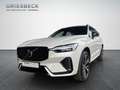 Volvo XC60 T6 R-Design AHK Kamera LED Weiß - thumbnail 1