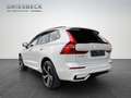 Volvo XC60 T6 R-Design AHK Kamera LED Weiß - thumbnail 4