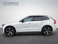 Volvo XC60 T6 R-Design AHK Kamera LED Weiß - thumbnail 3
