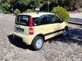 Fiat Panda 1.2 Climbing 4x4-Clima-Autoradio-Barre tetto- Giallo - thumbnail 4