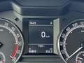 Skoda Octavia Ambition Combi 2.0tdi DSG Anhängekupplung Grau - thumbnail 20