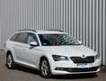 Skoda Superb Combi Ambition-Klima-Xenon-Navi-Camera-SH Weiß - thumbnail 15