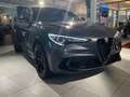 Alfa Romeo Stelvio Quadrifoglio*ACC*MEMORY*Harman-Kardon* Gris - thumbnail 2