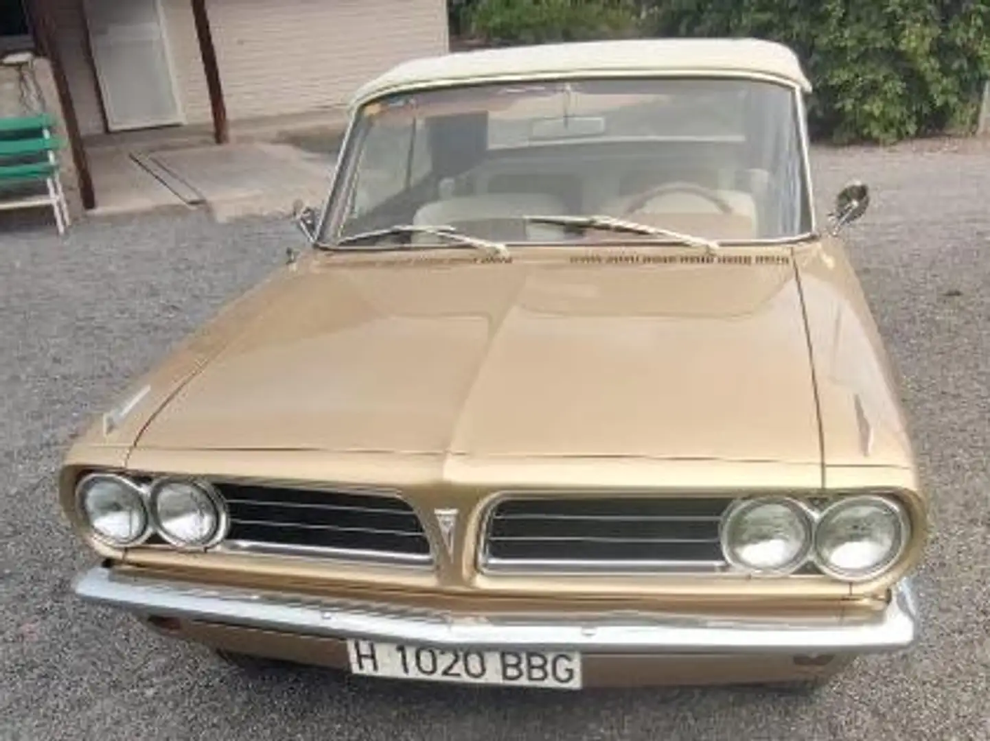 Pontiac Pontiac Tempest LeMans Oro - 1