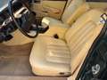 Daimler Double Six Double Six**BRG/Magnolia**orig. 59`km**1A+ Grün - thumbnail 15