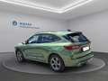 Ford Kuga Hybrid ST-Line X Grün - thumbnail 7