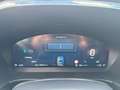 Ford Kuga Hybrid ST-Line X Grün - thumbnail 13
