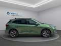 Ford Kuga Hybrid ST-Line X Grün - thumbnail 4