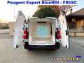 Peugeot Expert 1.5 Hdi FRIGO - MEDICINALI - ALIMENTI - BEVANDE Bianco - thumbnail 2