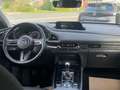 Mazda CX-30 Mazda CX-30 L SKYACTIV-G 2.0 150PS M Hybrid 6GS Silber - thumbnail 19