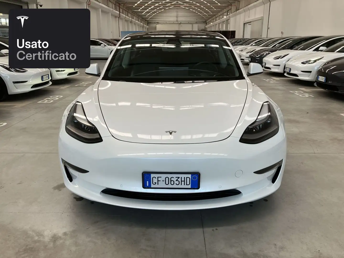 Tesla Model 3 Performance Wit - 2