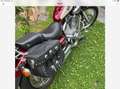 Yamaha XV 535 Virago Rouge - thumbnail 8