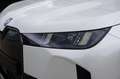 BMW iX xDrive45 M Sport AHK HeadUp M-Sitze Kamera ACC Sit Weiß - thumbnail 20