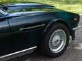 Aston Martin V8 Series IV Oscar India LHD Verde - thumbnail 23