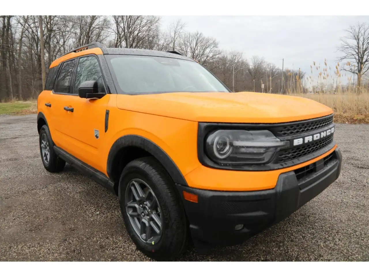 Ford Bronco Sport снимка Ford Bronco Sport