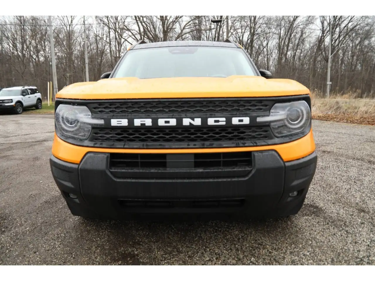 Ford Bronco Sport снимка Ford Bronco Sport