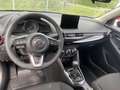 Mazda 2 e-SKYACTIV G 90 M HYBRID Homura Gris - thumbnail 10