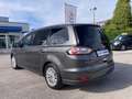Ford Galaxy 2.0 TDCi 150CV Titanium/7posti/Pelle Gris - thumbnail 2