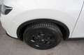 Nissan X-Trail X-Trail 360° dCi 130 PS 4x4 Weiß - thumbnail 19
