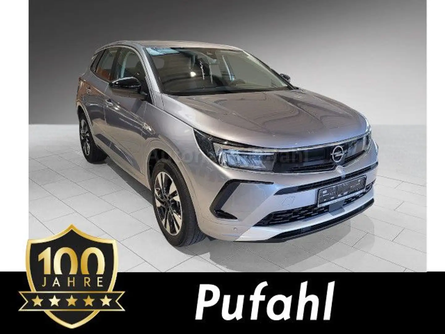 Opel Grandland X Grandland kauft man seit 100 Jahren bei Pufahl Silber - 1