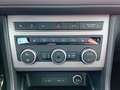 SEAT Ateca 2.0 TDI -FR- Standh.+AHK+DSG+Navi+u.v.m. Grün - thumbnail 17