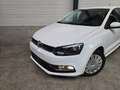 Volkswagen Polo ✖ TOP ETAT | BLUEMOTION | BLUETOOTH ✔ Blanc - thumbnail 7