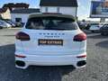 Porsche Cayenne GTS*Sportsitze*Gepflegt*Euro6*Sport Weiß - thumbnail 4