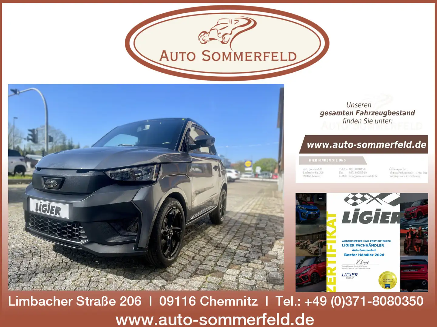 Ligier JS 50 Elite mit neuem Diesel Euro5+ Motor Grau - 1