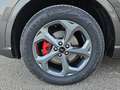 Ford Kuga 2,5 Duratec PHEV ST-Line X Aut. Grau - thumbnail 20