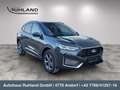 Ford Kuga 2,5 Duratec PHEV ST-Line X Aut. Grau - thumbnail 7