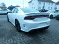 Dodge Charger SRT Hellcat   1.Hand Weiß - thumbnail 2