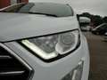 Ford EcoSport Titanium 1.0L 125PS | AHK, Navigation Weiß - thumbnail 19