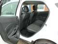 Ford EcoSport Titanium 1.0L 125PS | AHK, Navigation Weiß - thumbnail 15