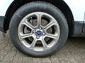 Ford EcoSport Titanium 1.0L 125PS | AHK, Navigation Weiß - thumbnail 18