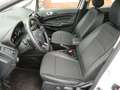 Ford EcoSport Titanium 1.0L 125PS | AHK, Navigation Weiß - thumbnail 6