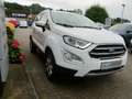 Ford EcoSport Titanium 1.0L 125PS | AHK, Navigation Weiß - thumbnail 4