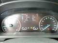 Ford EcoSport Titanium 1.0L 125PS | AHK, Navigation Weiß - thumbnail 7
